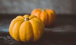 橙子爆料南瓜视频下载,南瓜视频下载攻略大揭秘